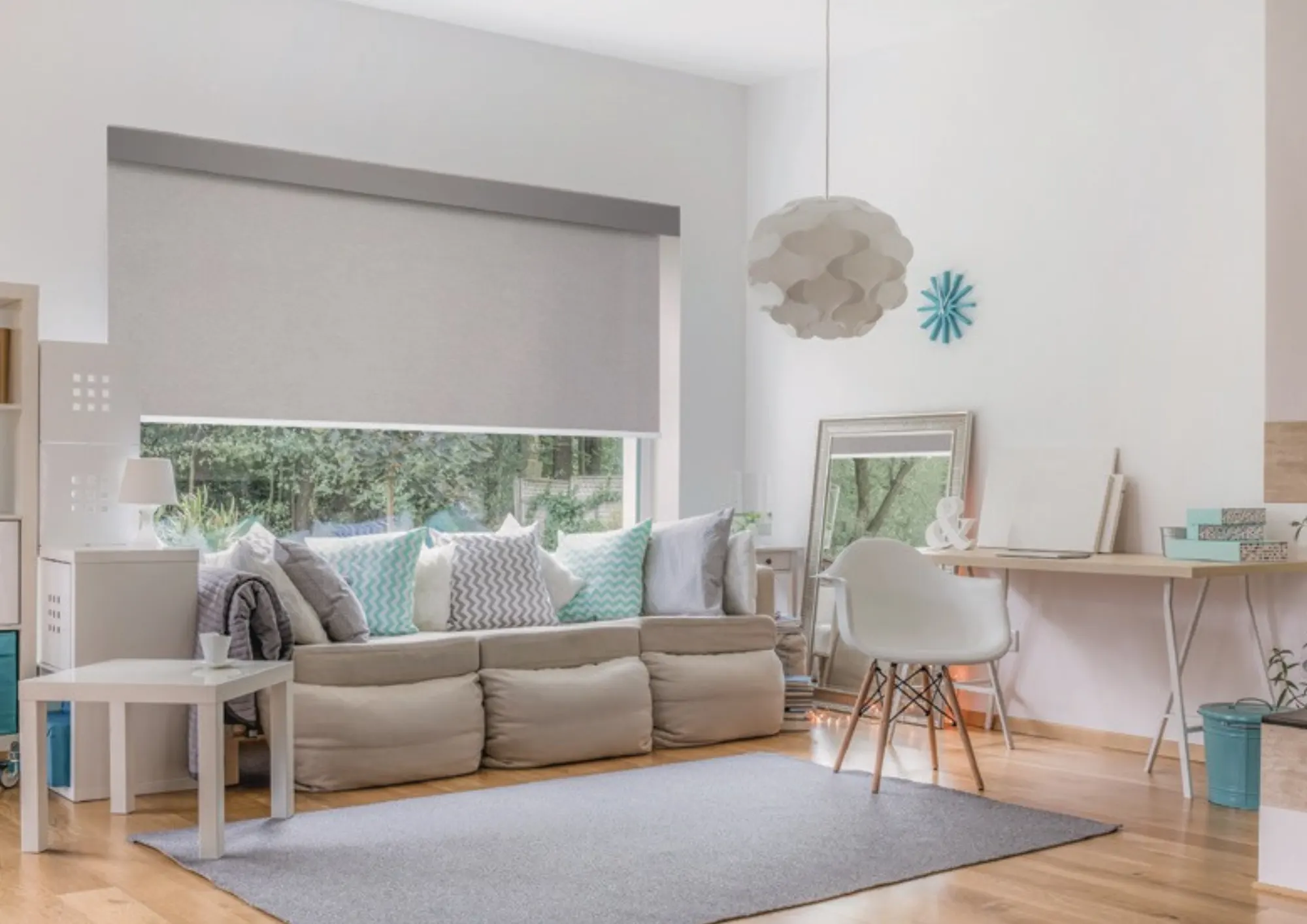 Best Pro Today Roller Shades