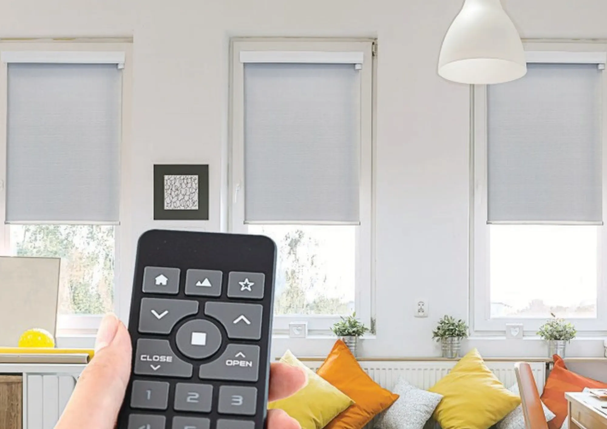 Best Pro Today Motorization